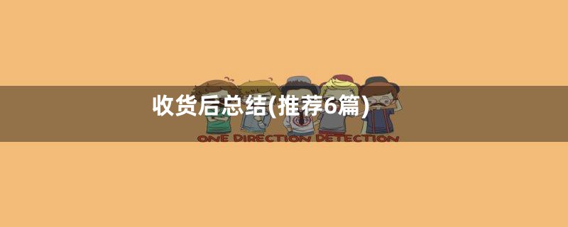 收货后总结(推荐6篇)