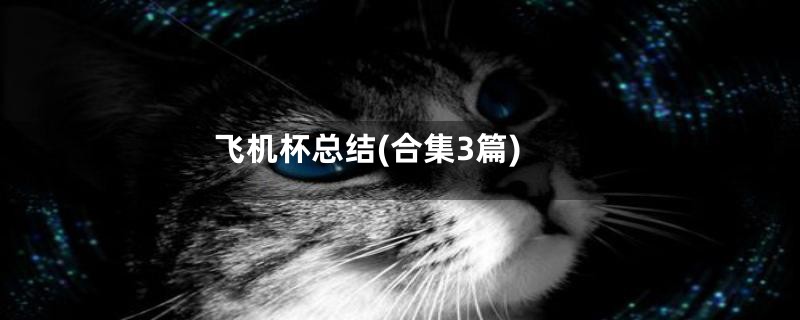 飞机杯总结(合集3篇)