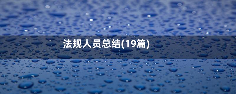 法规人员总结(19篇)