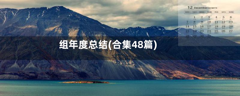组年度总结(合集48篇)