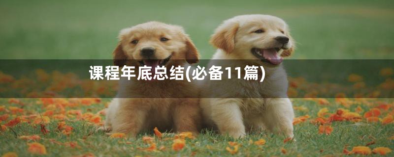 课程年底总结(必备11篇)