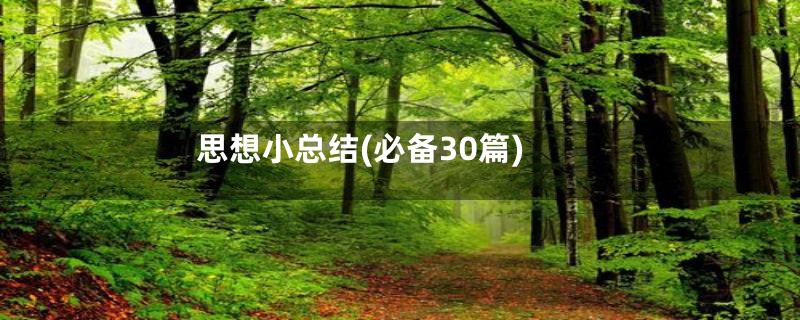 思想小总结(必备30篇)