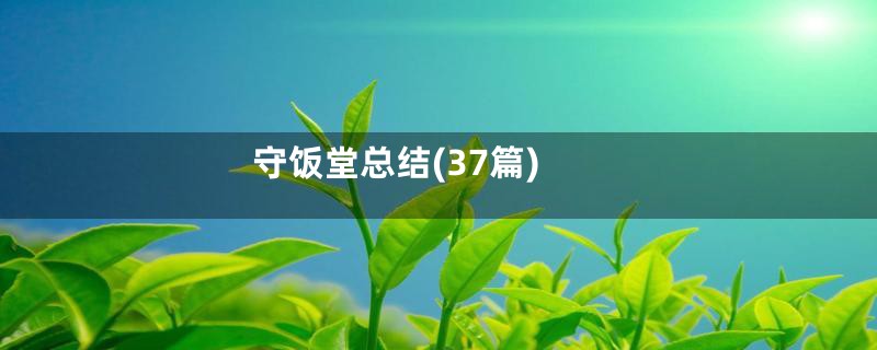 守饭堂总结(37篇)