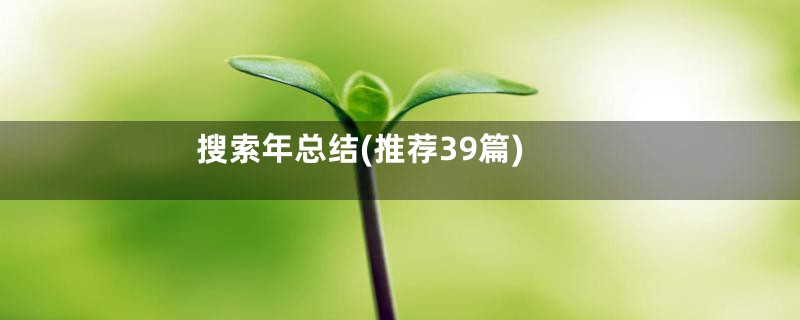 搜索年总结(推荐39篇)
