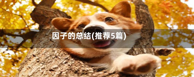 因子的总结(推荐5篇)