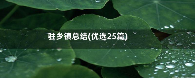 驻乡镇总结(优选25篇)