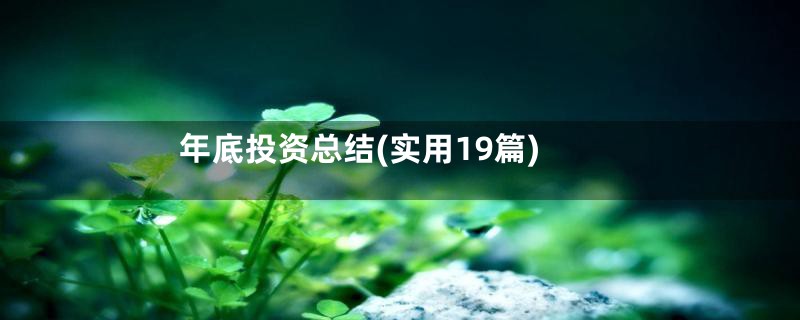 年底投资总结(实用19篇)