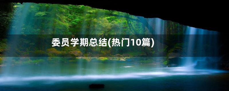 委员学期总结(热门10篇)
