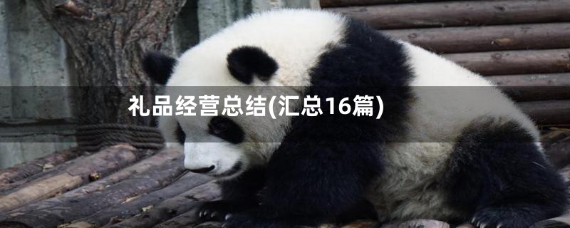 礼品经营总结(汇总16篇)