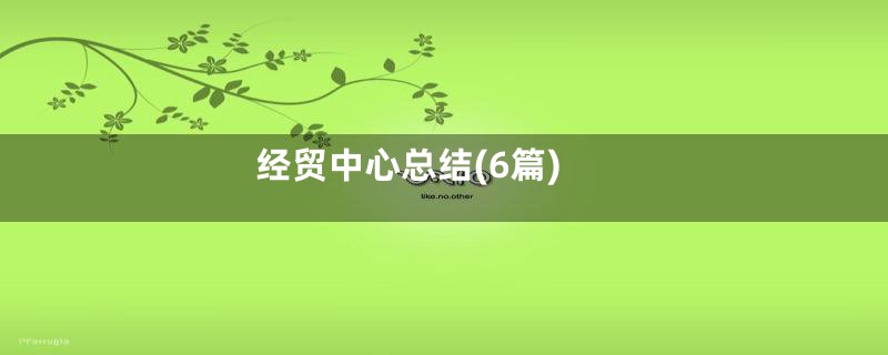 经贸中心总结(6篇)