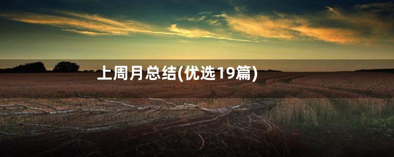 上周月总结(优选19篇)
