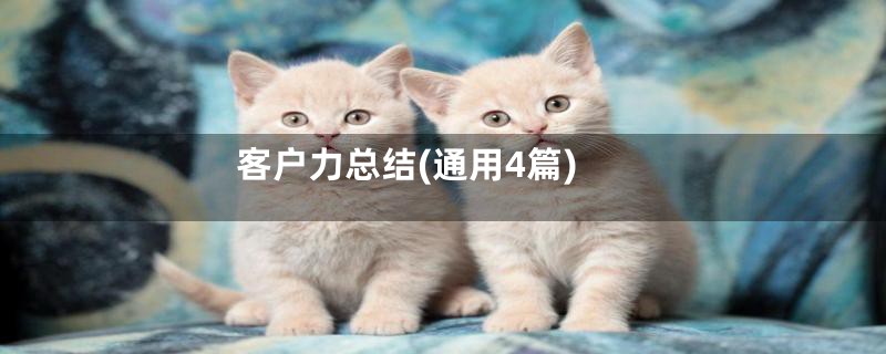 客户力总结(通用4篇)