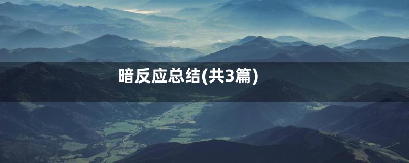 暗反应总结(共3篇)