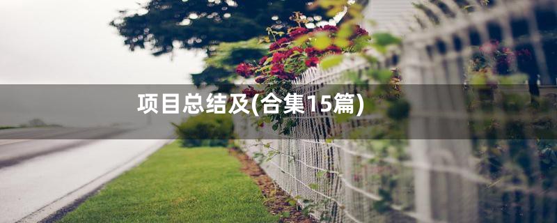 项目总结及(合集15篇)