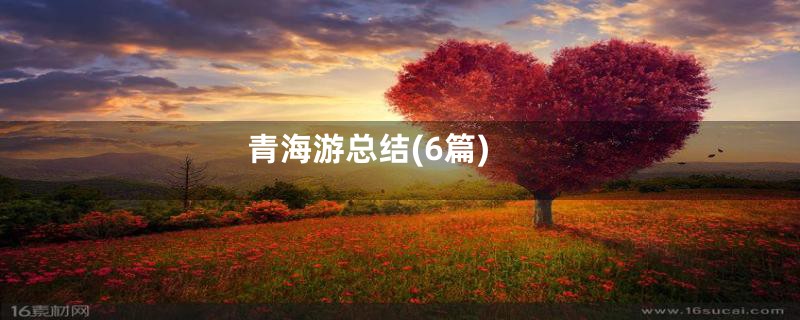 青海游总结(6篇)