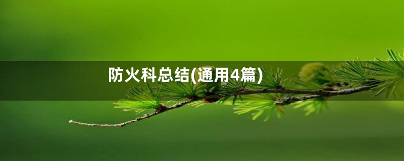 防火科总结(通用4篇)