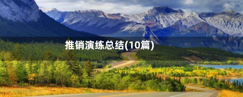 推销演练总结(10篇)