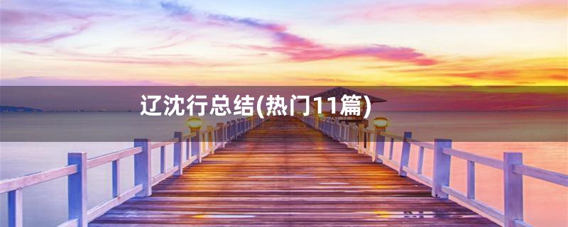 辽沈行总结(热门11篇)