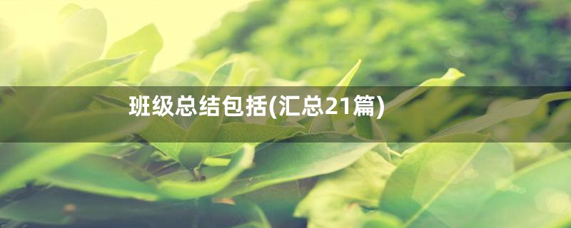 班级总结包括(汇总21篇)