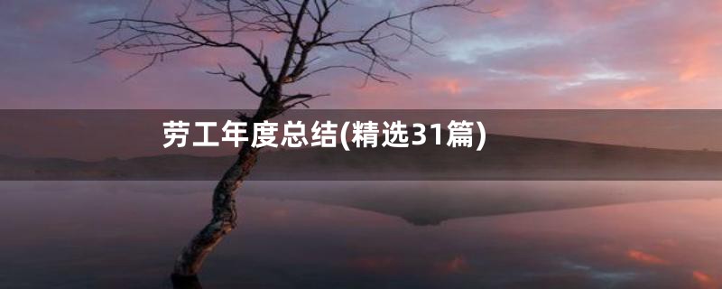 劳工年度总结(精选31篇)