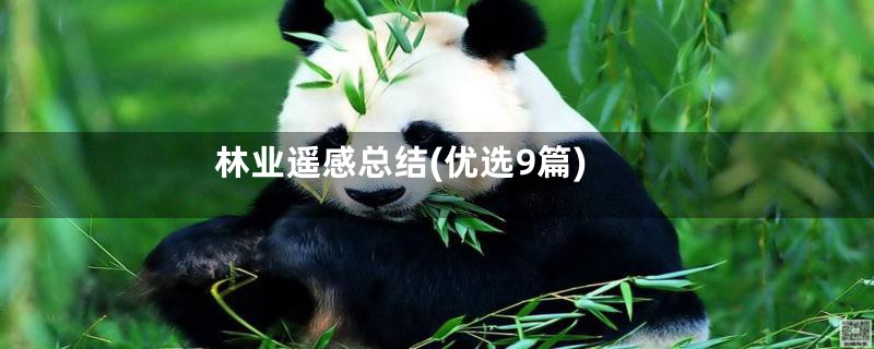 林业遥感总结(优选9篇)