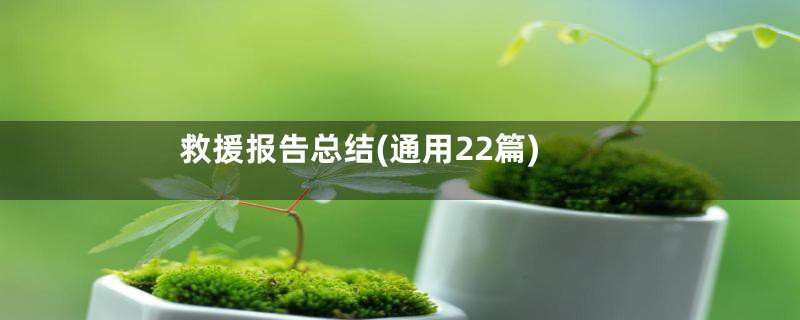 救援报告总结(通用22篇)