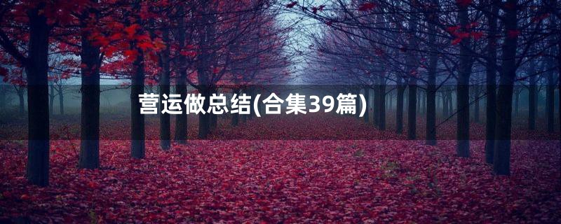 营运做总结(合集39篇)
