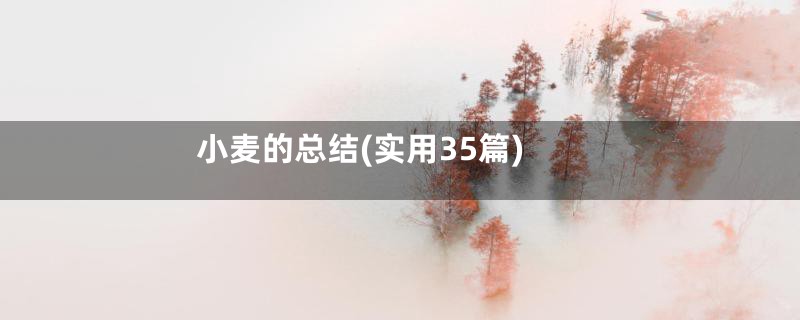 小麦的总结(实用35篇)