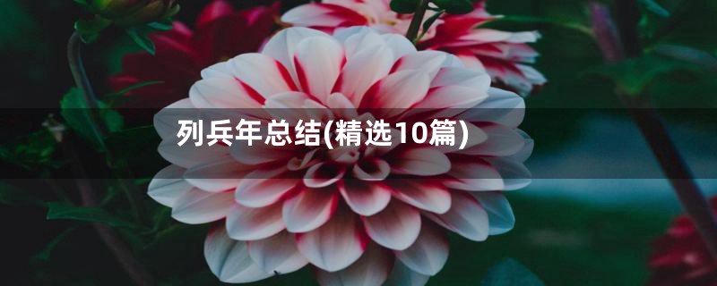 列兵年总结(精选10篇)