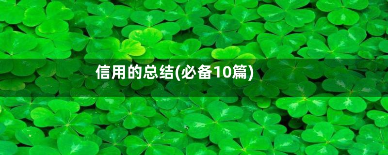 信用的总结(必备10篇)