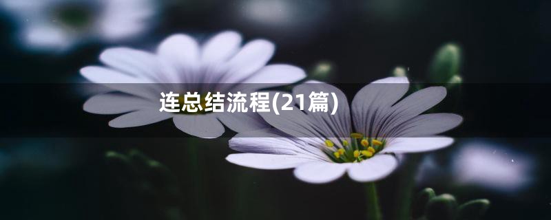 连总结流程(21篇)