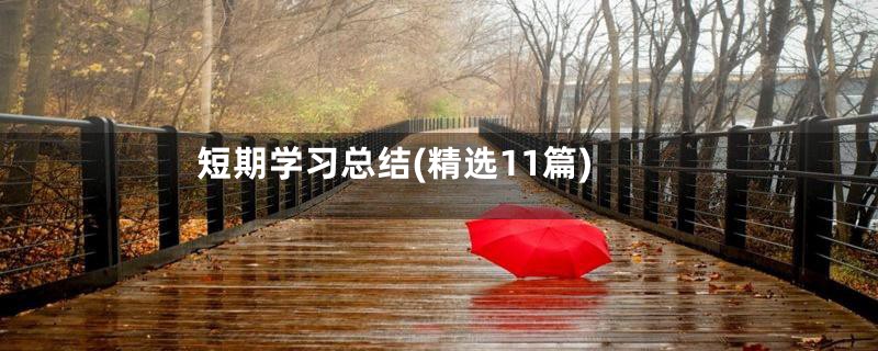短期学习总结(精选11篇)
