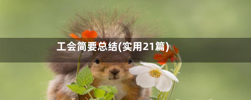 工会简要总结(实用21篇)