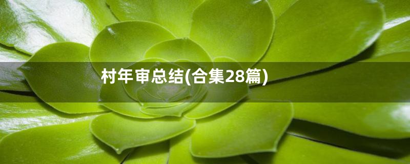 村年审总结(合集28篇)