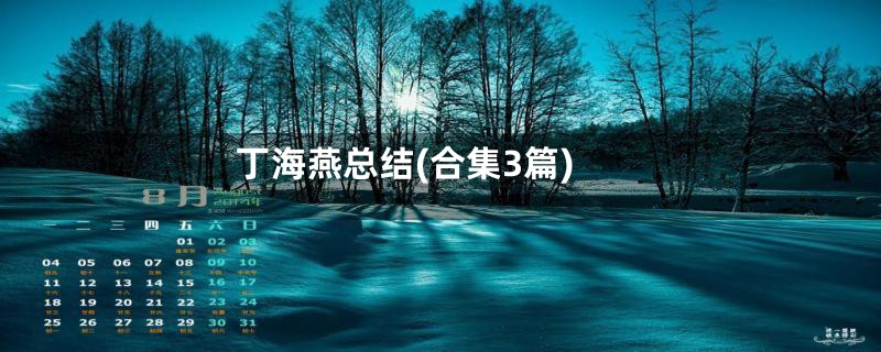 丁海燕总结(合集3篇)