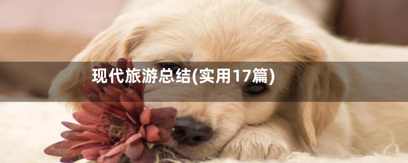 现代旅游总结(实用17篇)