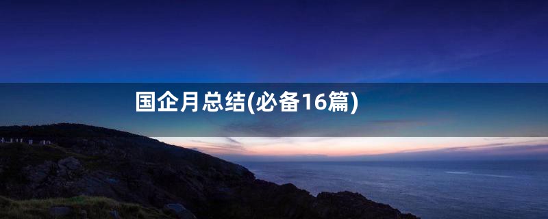 国企月总结(必备16篇)