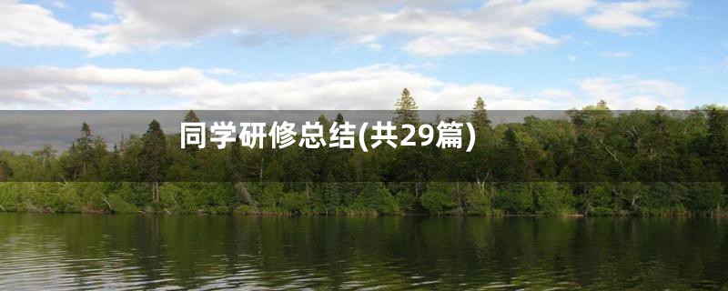 同学研修总结(共29篇)