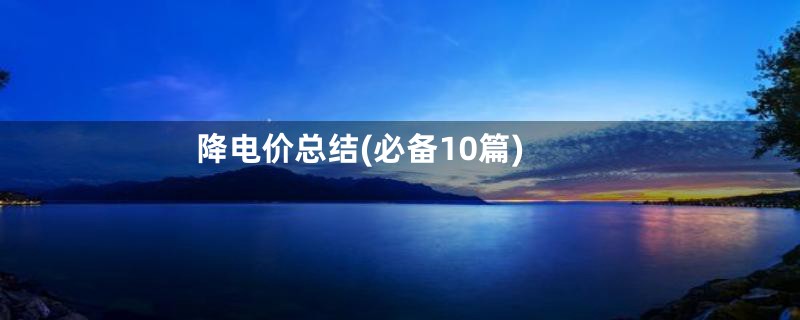 降电价总结(必备10篇)