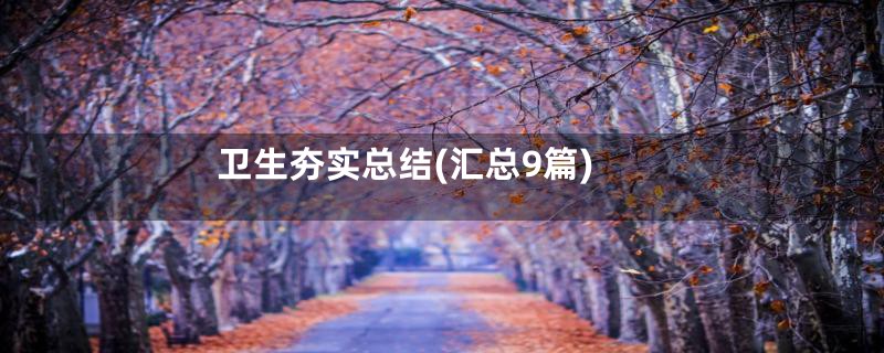 卫生夯实总结(汇总9篇)