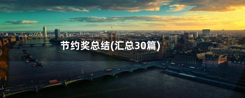 节约奖总结(汇总30篇)