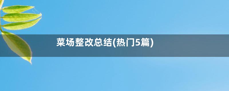 菜场整改总结(热门5篇)