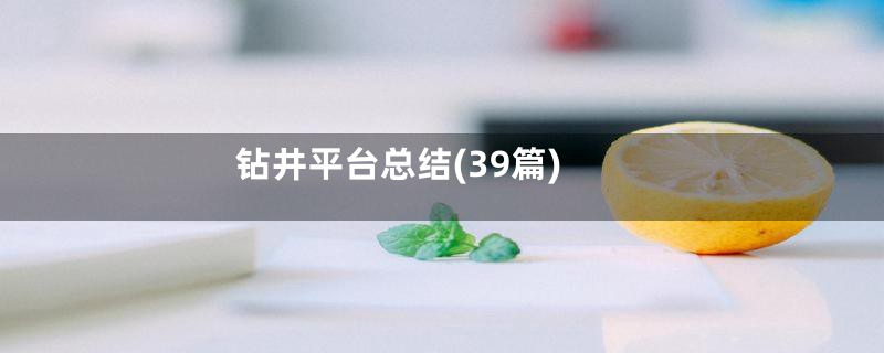 钻井平台总结(39篇)