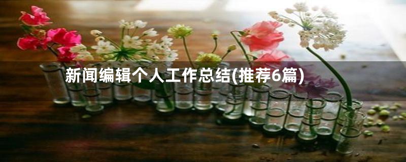 新闻编辑个人工作总结(推荐6篇)