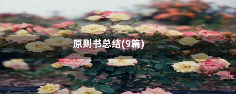 原则书总结(9篇)