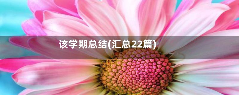 该学期总结(汇总22篇)
