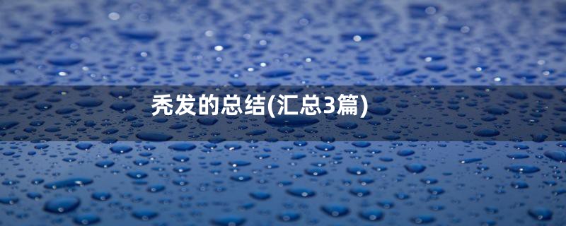 秃发的总结(汇总3篇)
