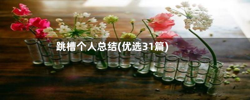 跳槽个人总结(优选31篇)