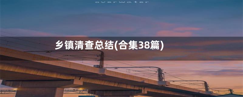 乡镇清查总结(合集38篇)