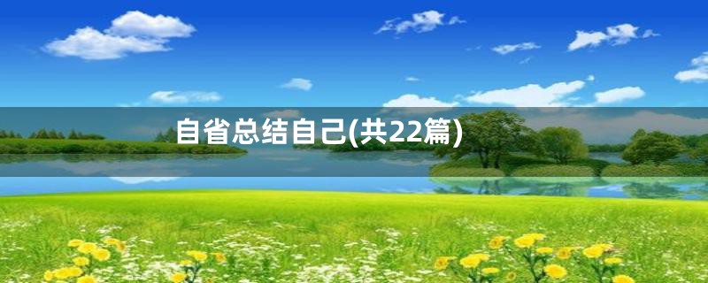 自省总结自己(共22篇)